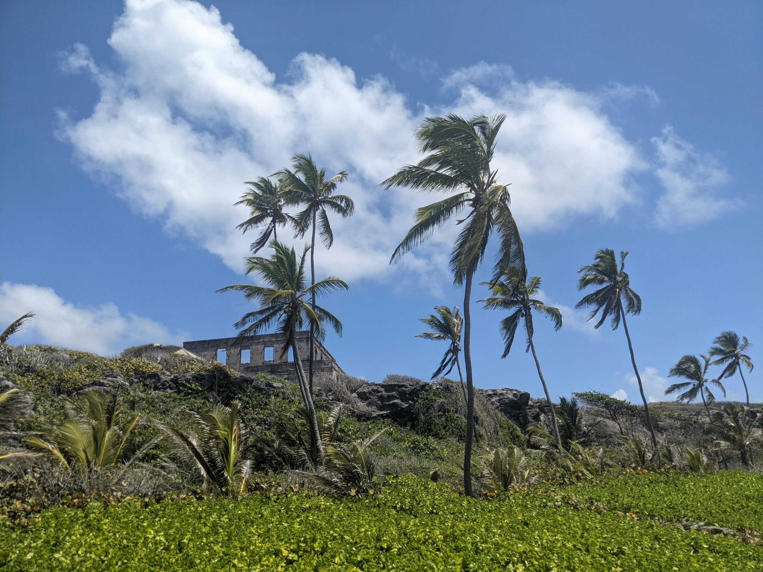 Travelers should explore the landmarks of Barbados. 
pictured: Barbados 