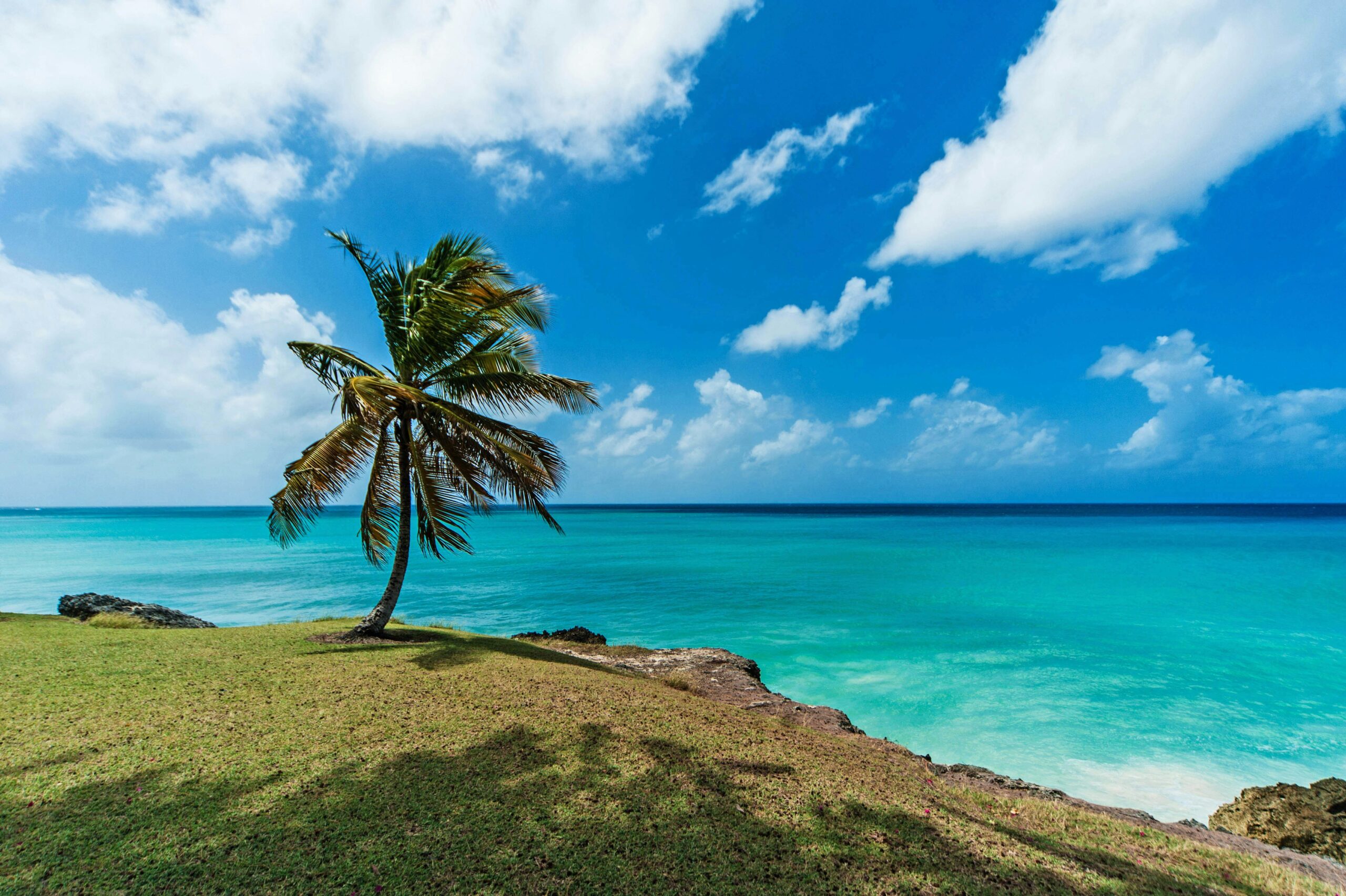 The weather of Barbados during the dry season makes it the best time to visit. 
pictured: Barbados 