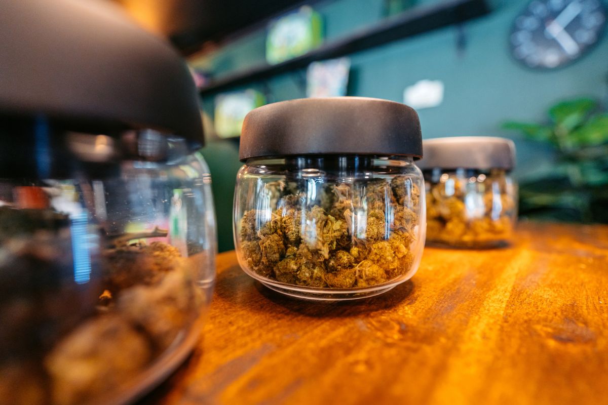 cannabis in jars on the shelf in a dispensary