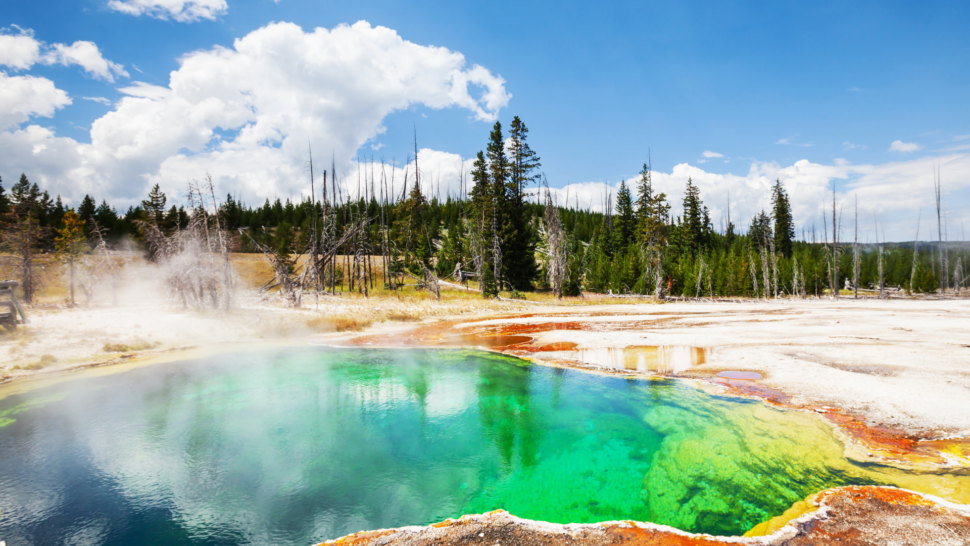 Family Vacation Ideas to Yellowstone