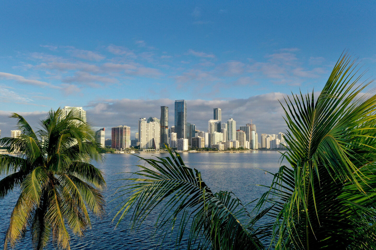 Best Restaurants in Miami pictured: Miami skyline