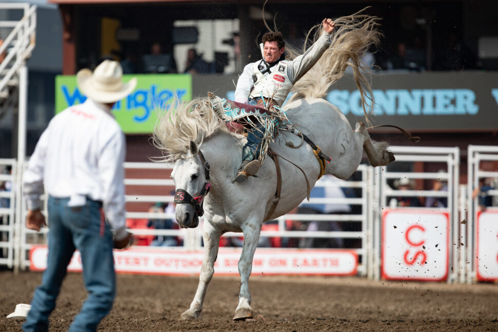 Rider on a bucking bronco at the Calgary Stampede. 