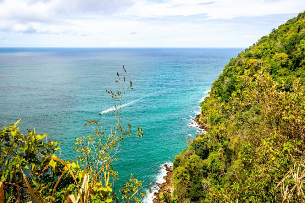 Bamboo Cathedral Lookout, Radio Tower Road, Trinidad and Tobago