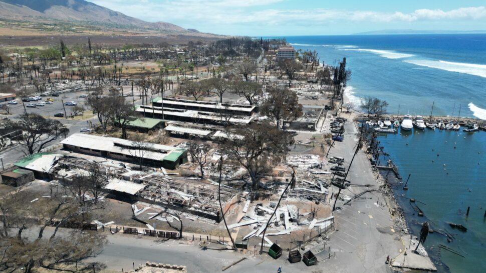 Hawaiian Islands Hurricane Gilma pictured: Hurricane Dora aftermath