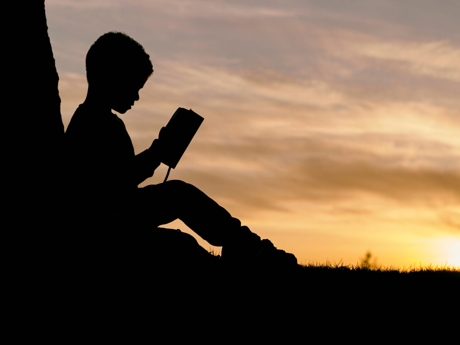 Silhouette of young boy reading a book