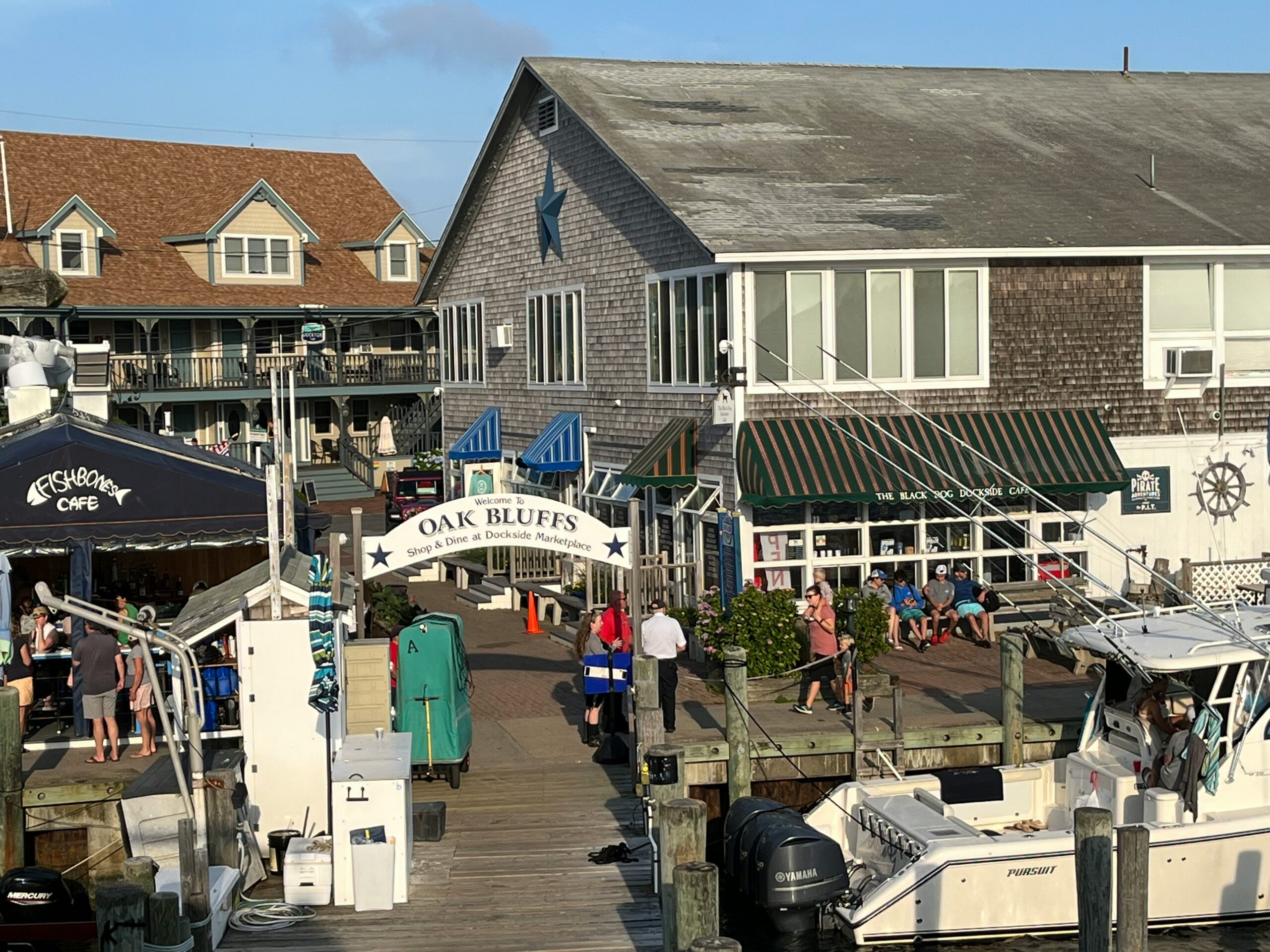 Travelers have the opportunity to see celebrities. Pictured: Martha's Vineyard 