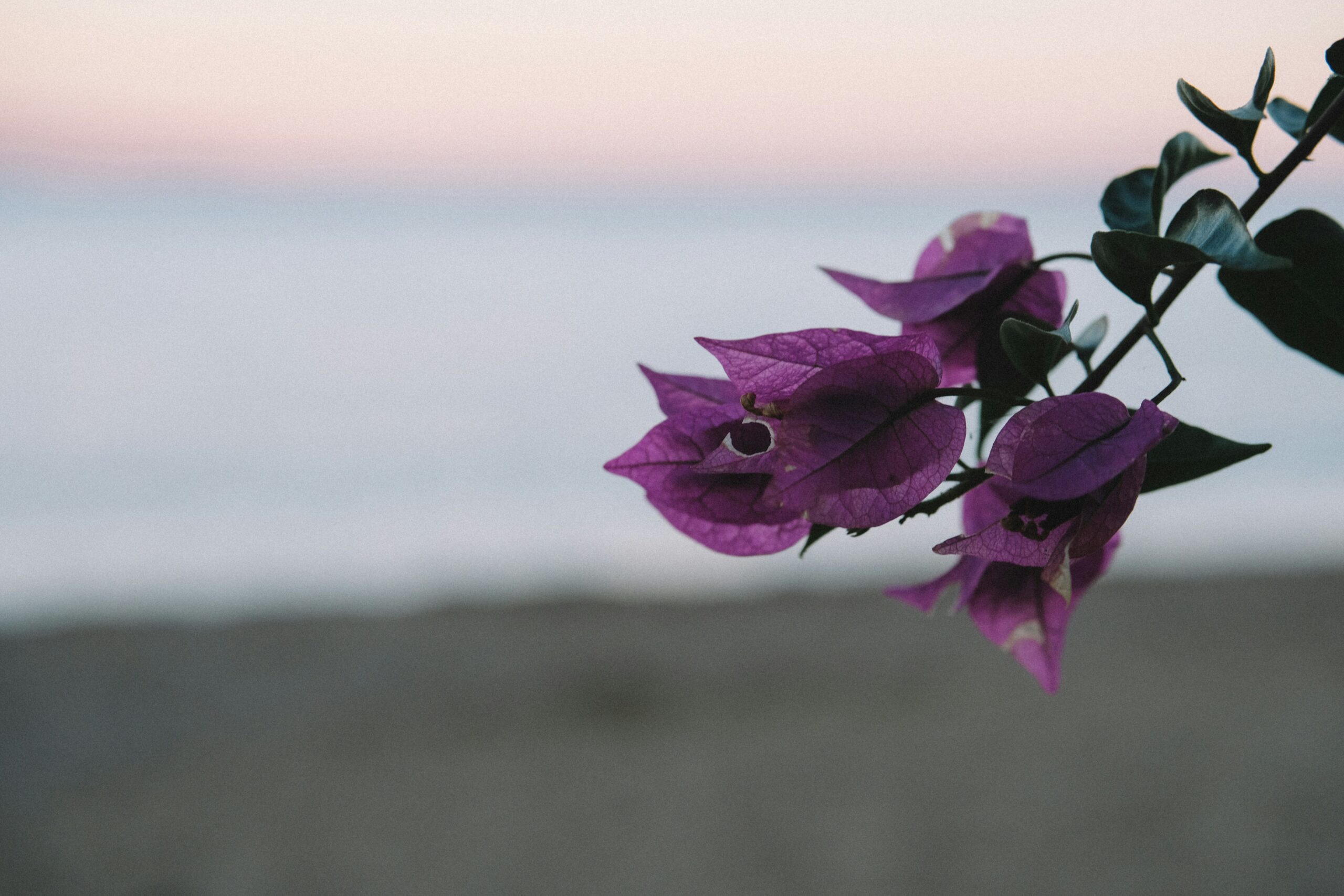 Beaches are one of the best features of Paros. 
pictured: Paros beach 