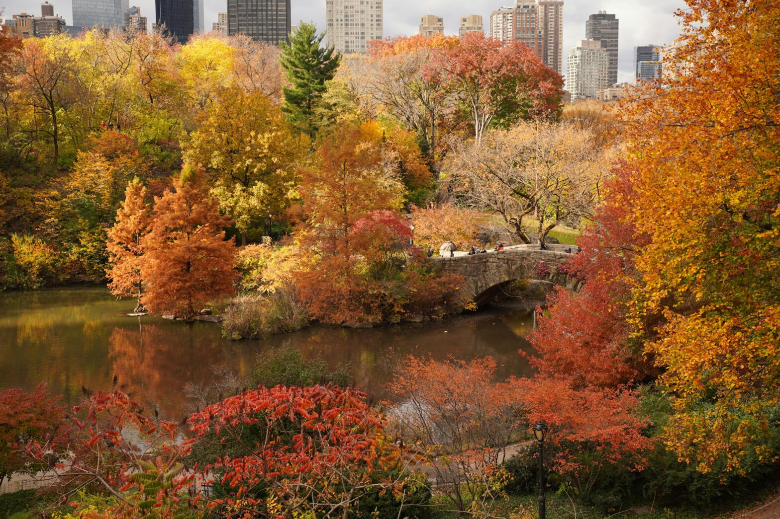 A park in the fall.