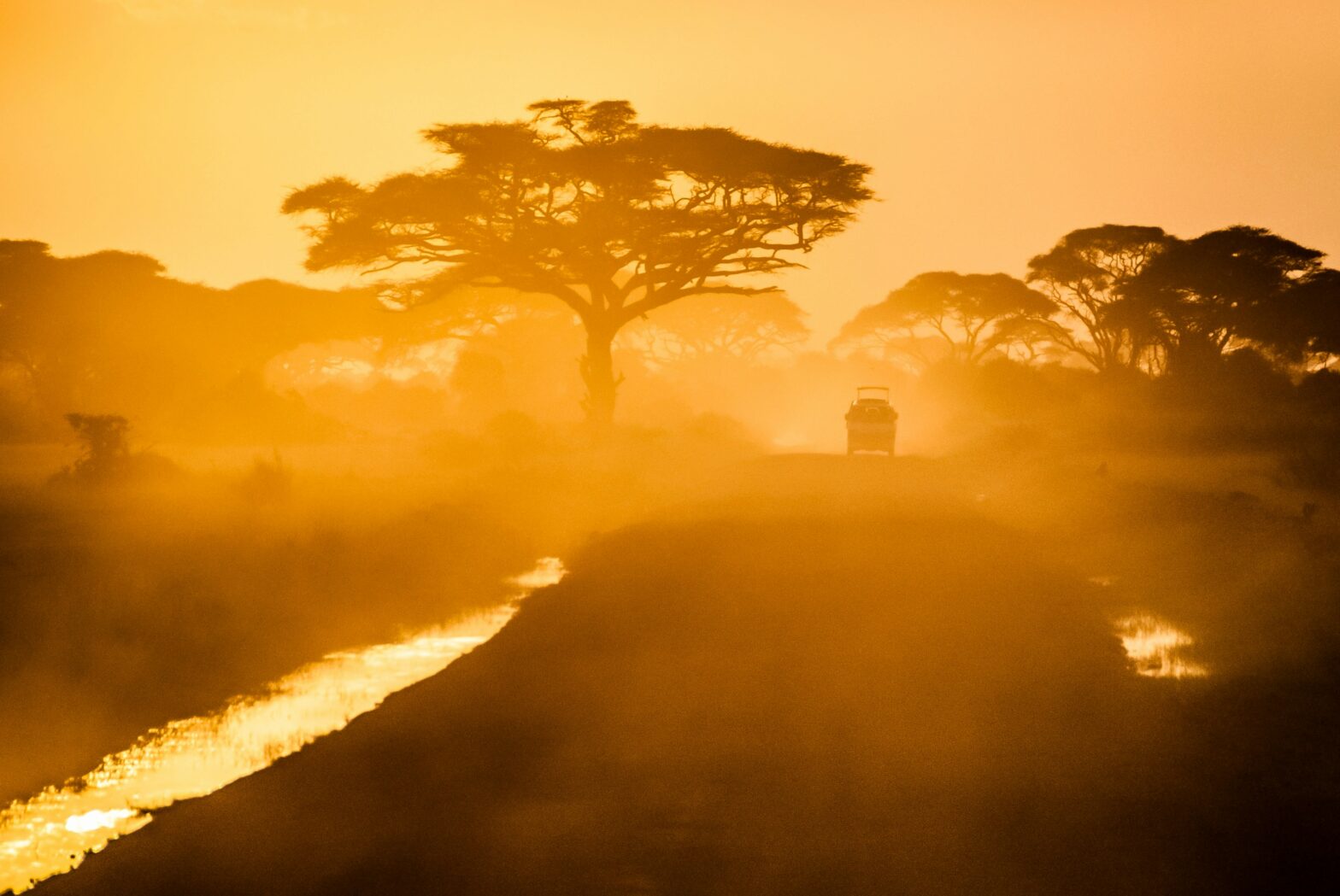 car driving down dusty road on safari in Africa