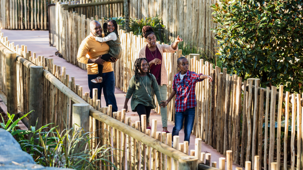 African-American family visiting the zoo