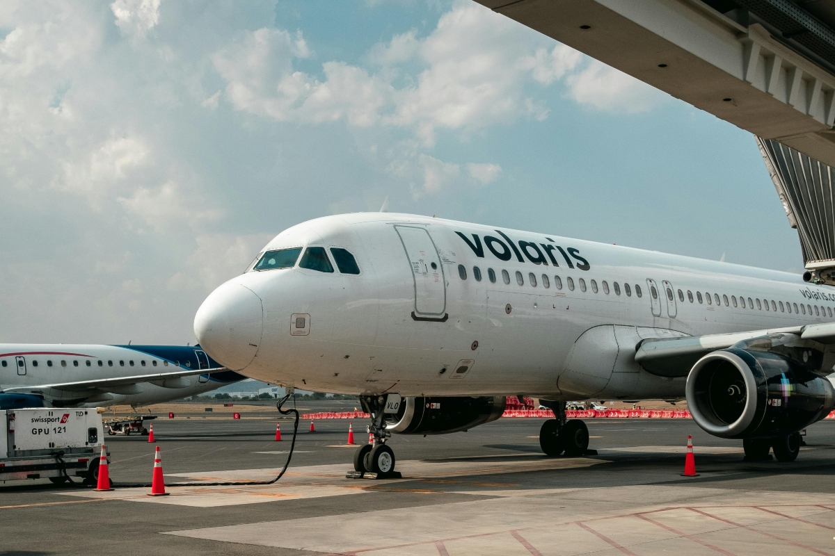 WATCH: Mexico Flight Invaded By Insects Before Takeoff