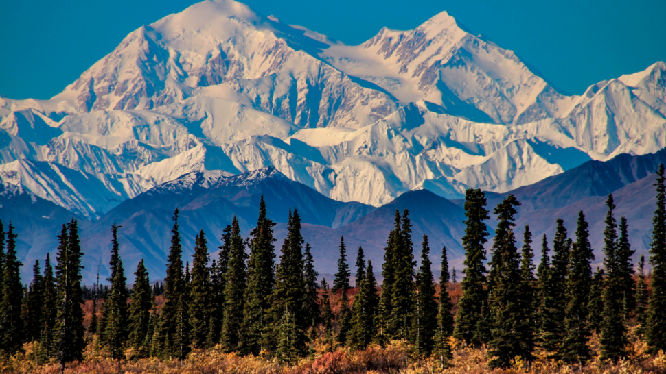 Denali National Park mountains and trees