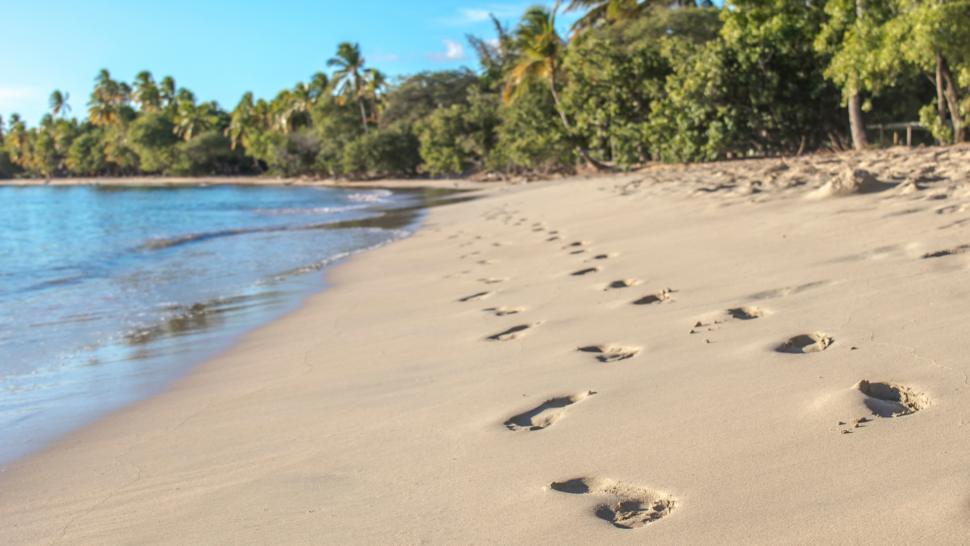 Footsteps in the sand at Grande Anse des Saline on Martinique 