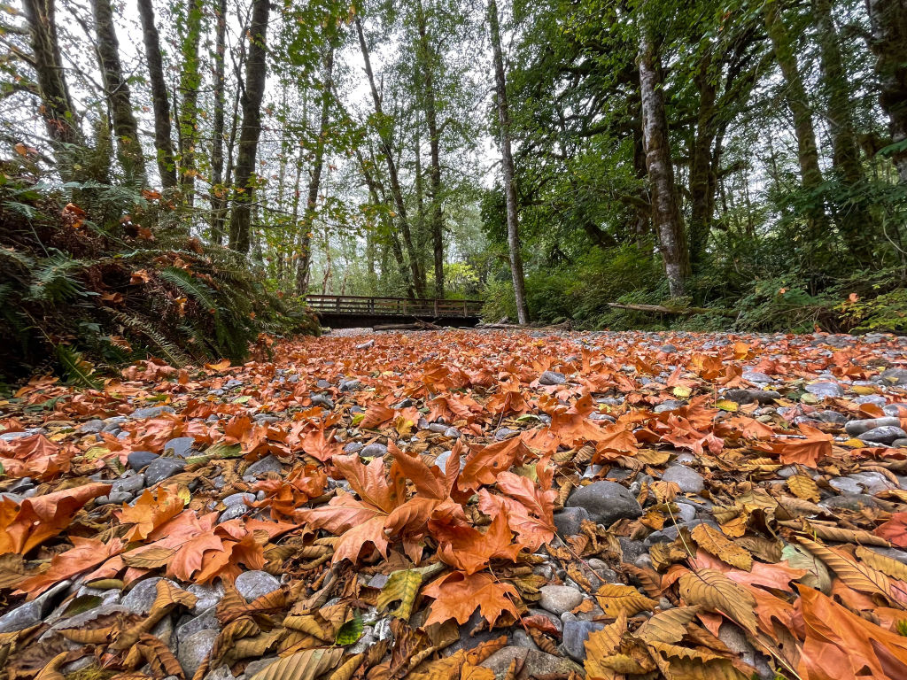 6 Rejuvenating Weekend Trips in Washington That Offer a Bit of Everything