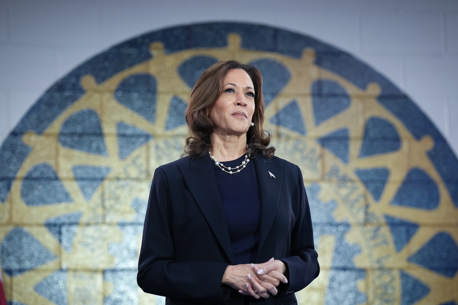 Everything To Know About Kamala Harris' Jamaican And Indian Roots