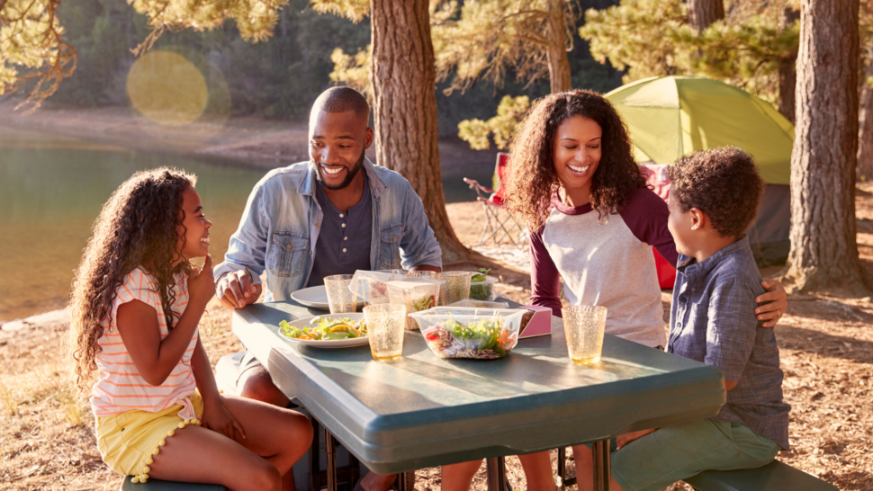 Family having a picnic on vacation