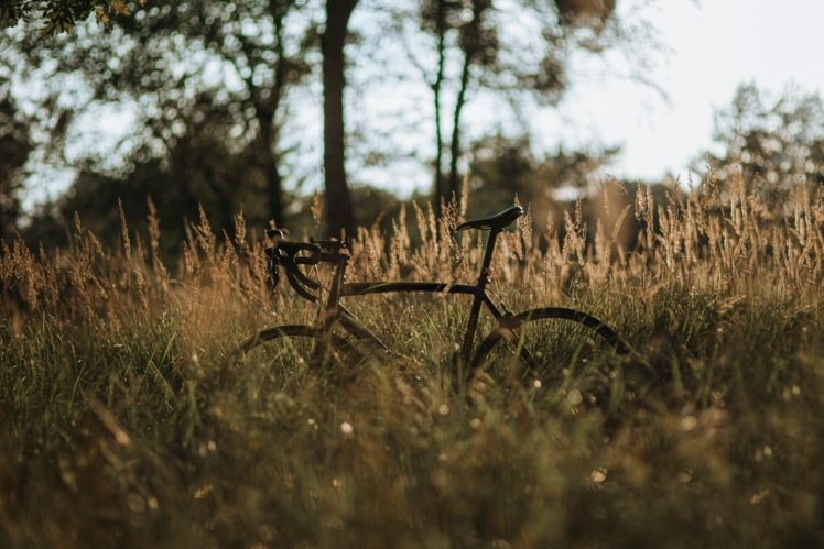 Visitors should bike in Colorado. 
Pictured: bike in Colorado field 