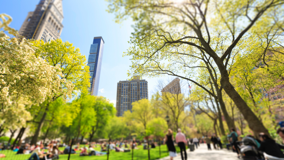 Bright daylight view of people in Madison Square Park 