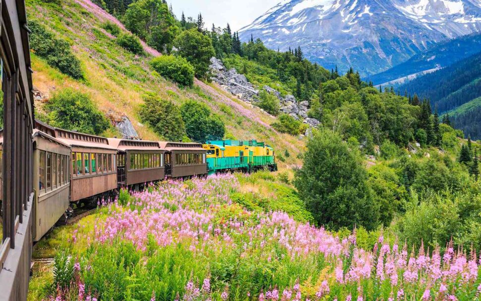 Train on the side of a mountain, rolling through a flower field