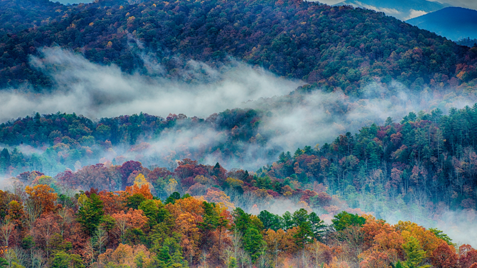 Rainy Autumn Day in the Great Smoky Mountains