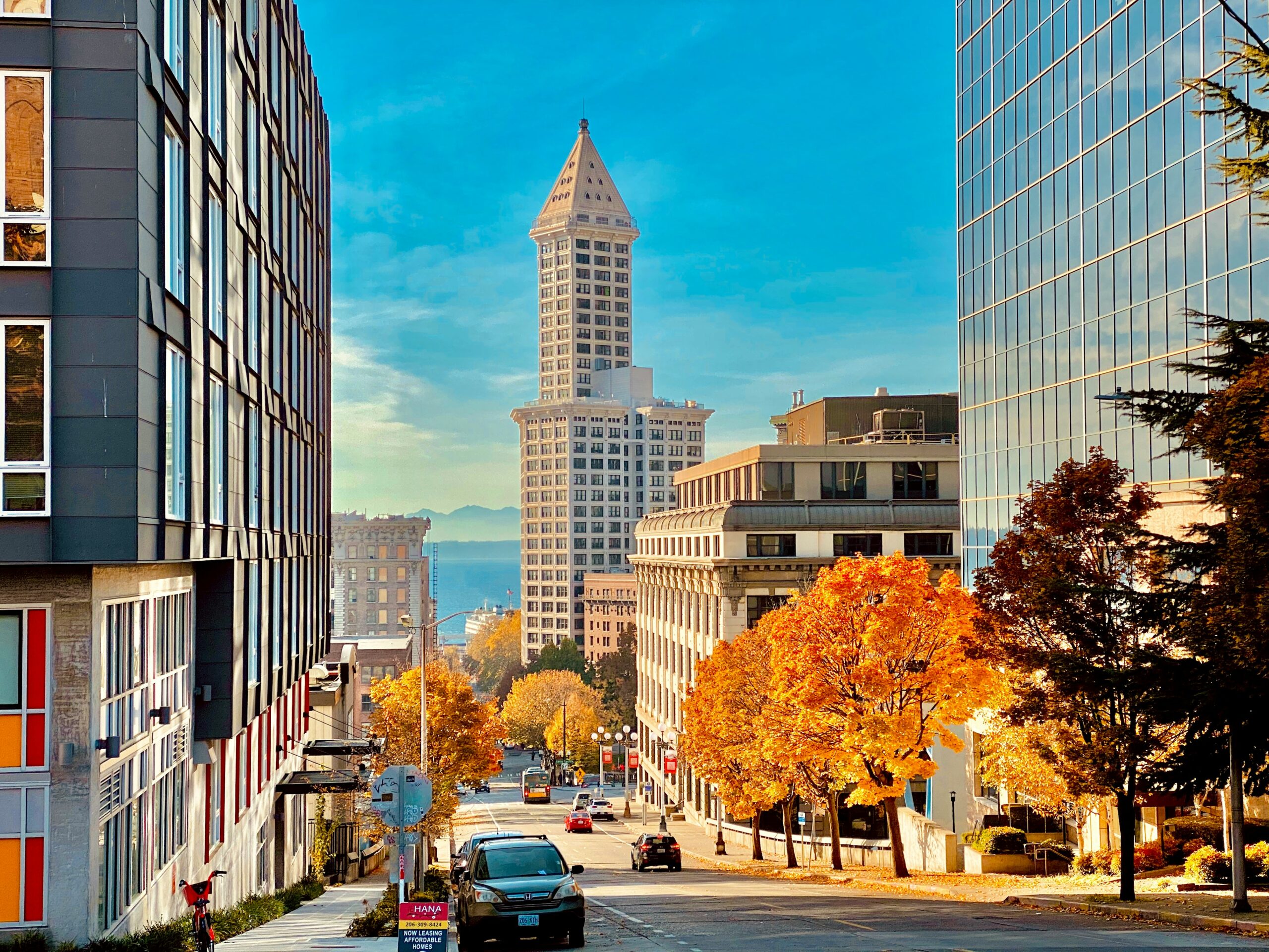 Fall foliage is a highly anticipated occasion each year in Seattle. 
Pictured: Seattle fall foliage 