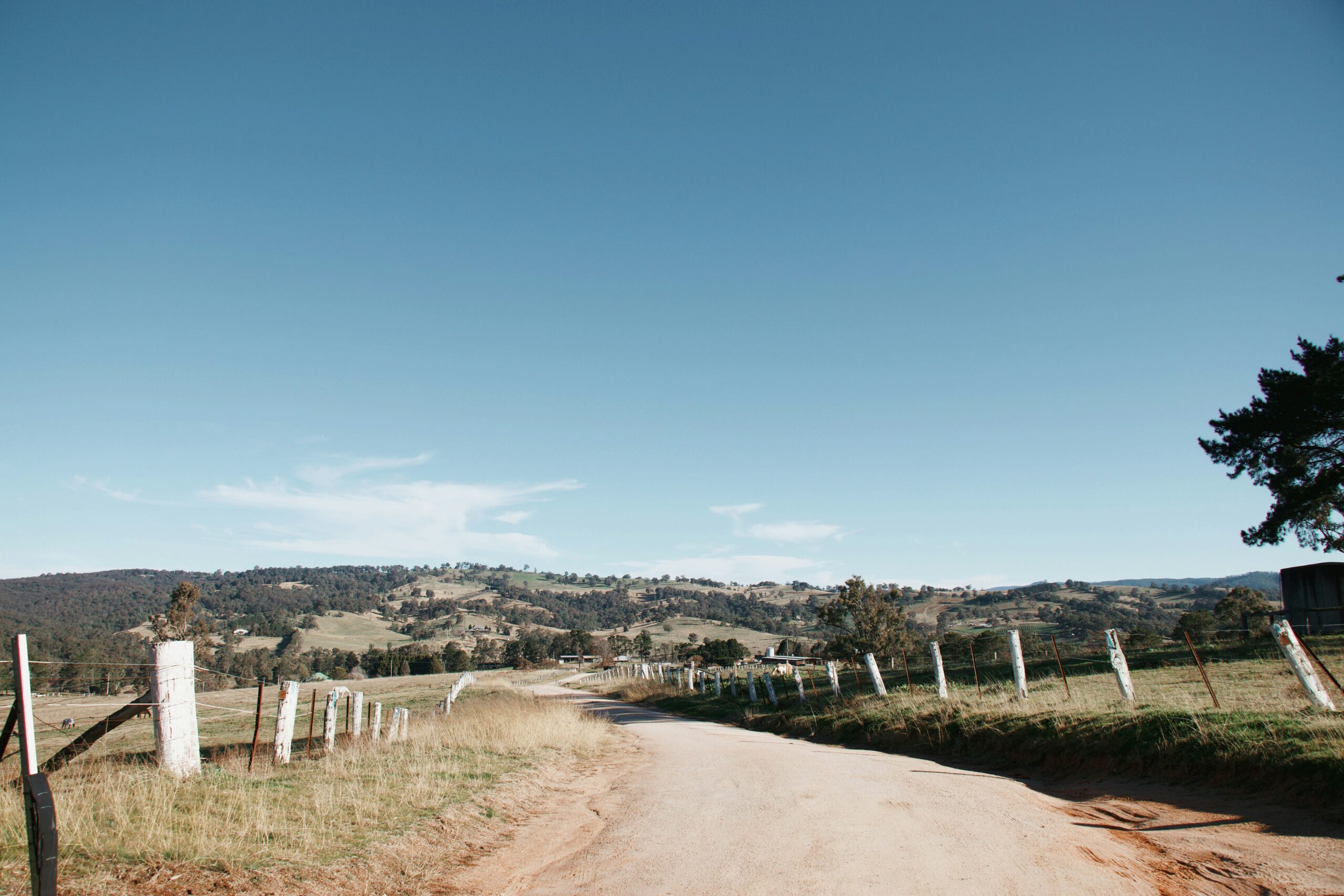 The Blue Mountains are a film location for Pieces of Her.