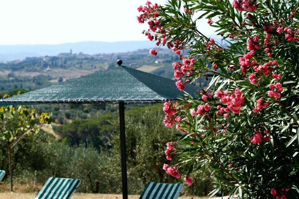 A scenic view of mountains in Tuscany. An umbrella covers two lounge chairs in the foreground. 