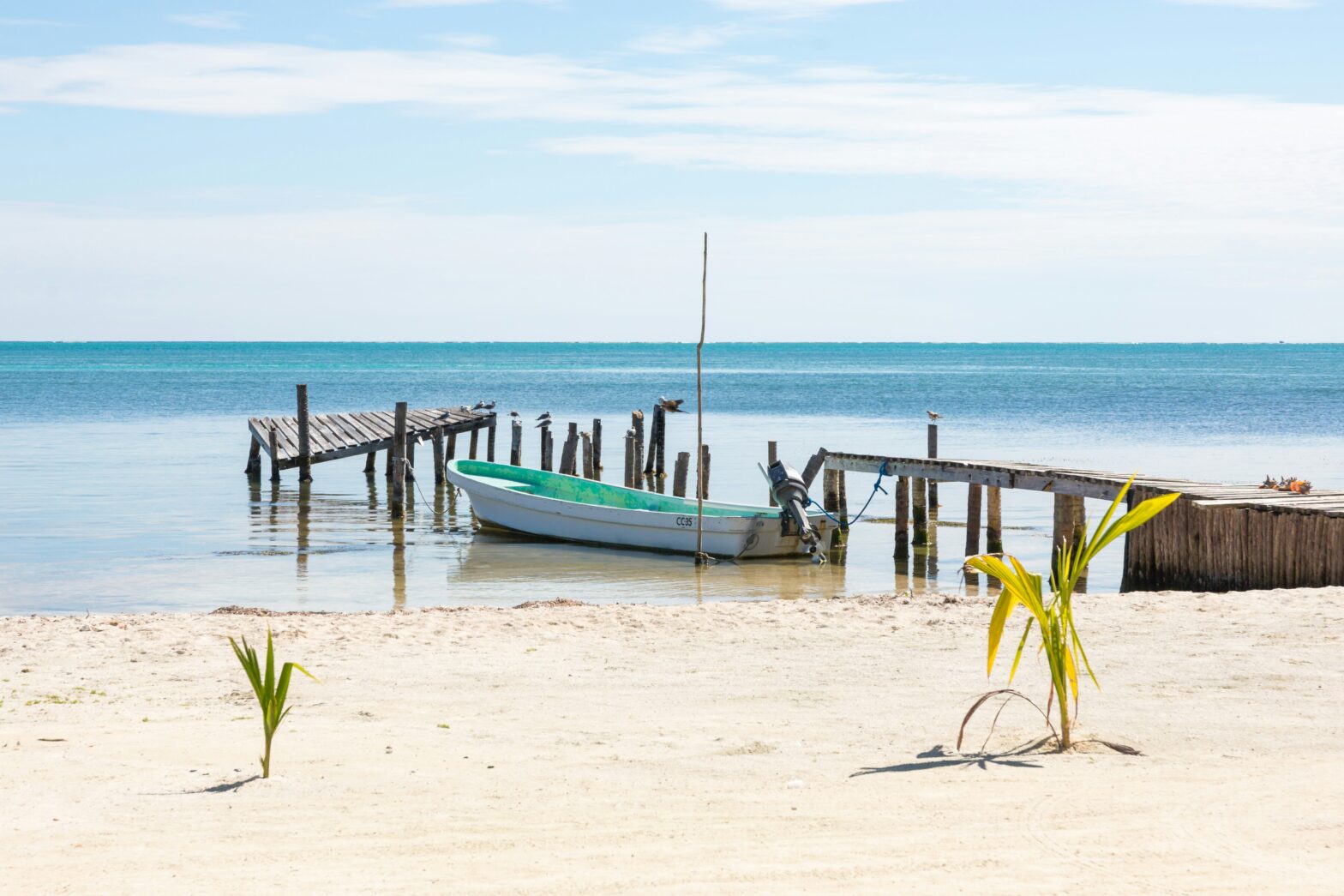 a boat and dock in Belize along the shore