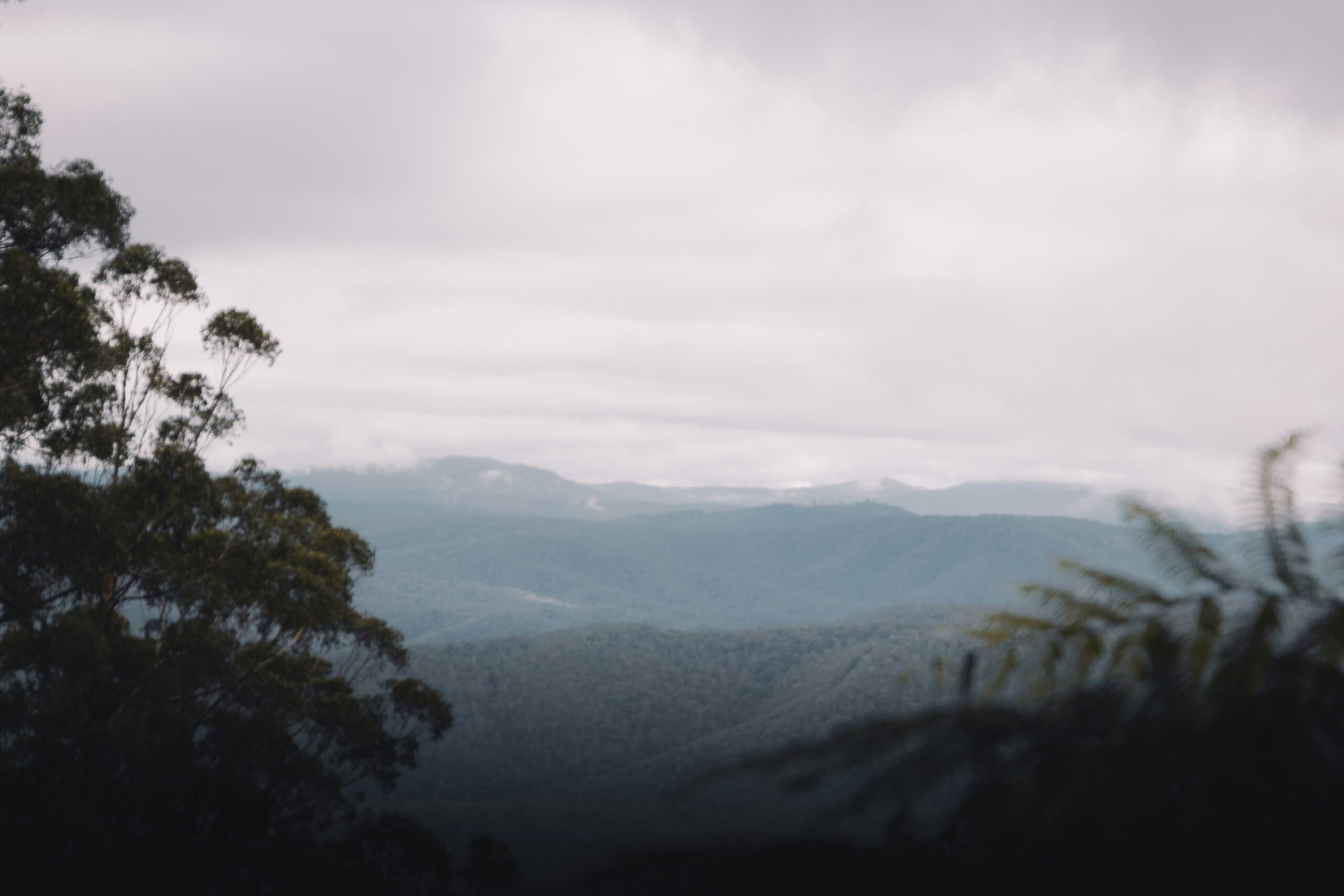 Australia is a nice place for visitors to hike due to the vast mountains and trails. 