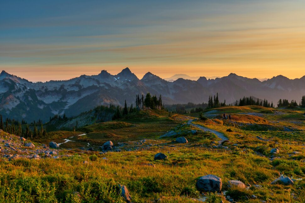 Mountains of Ashford, Washington