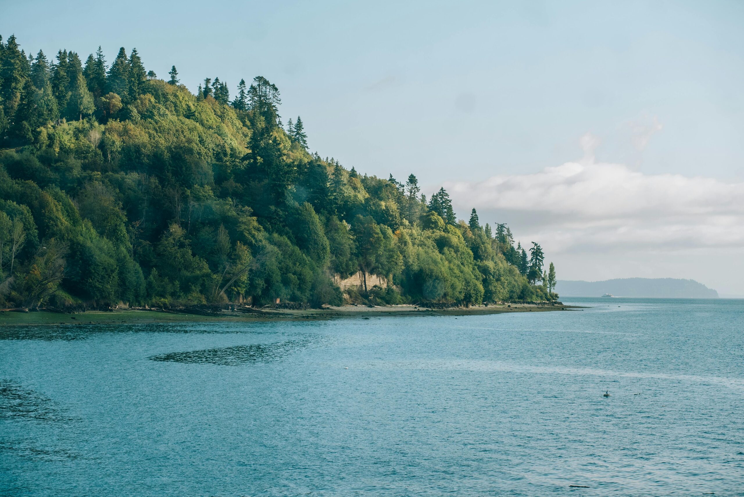 September is the best time to visit Seattle. 
Pictured: nature of Seattle 