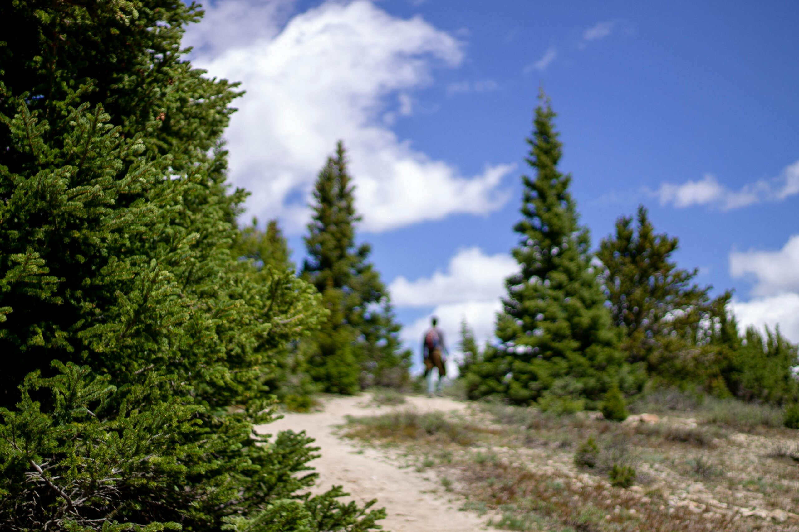 Hiking is a popular activity in Colorado. 
Pictured: Man hiking