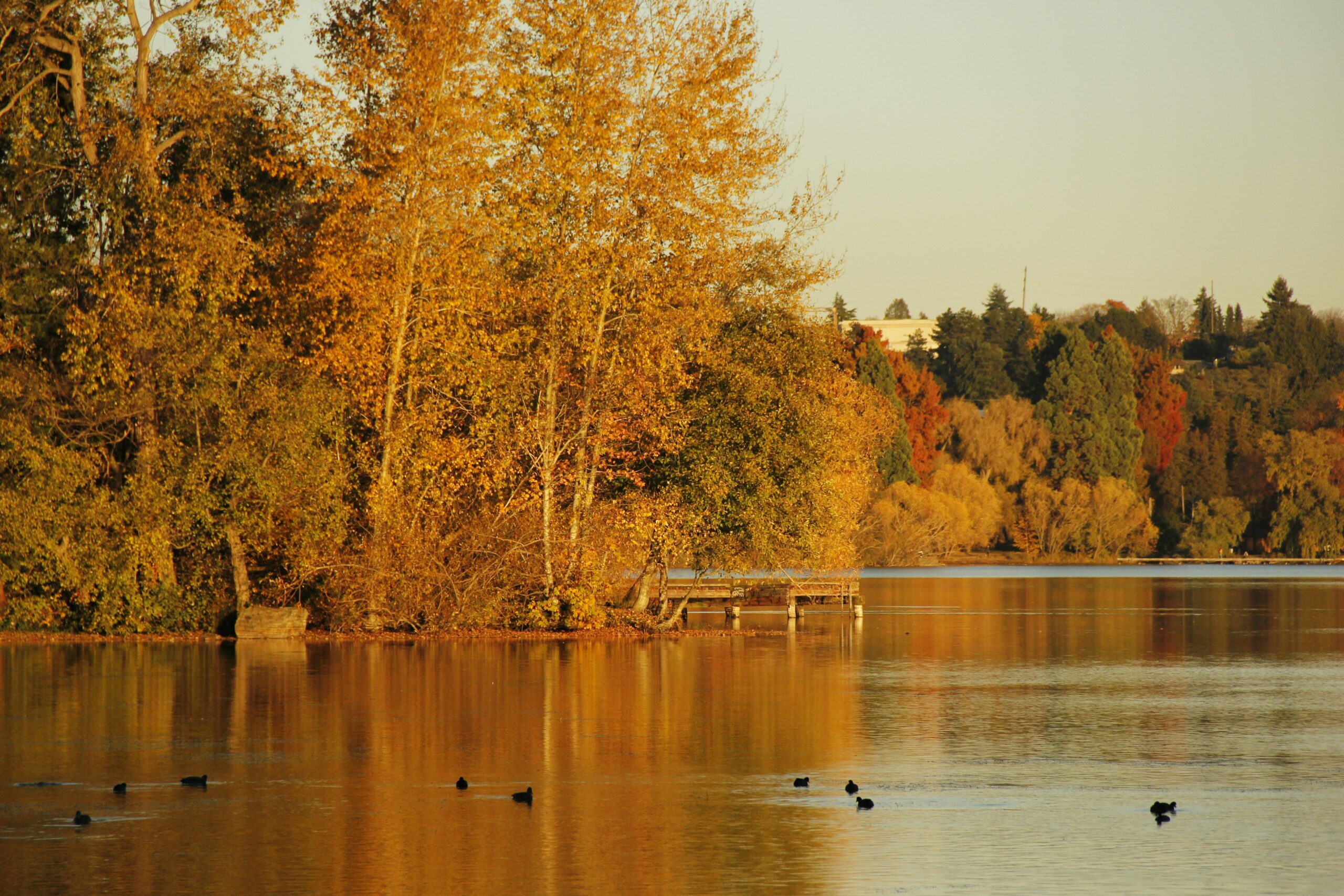 Seattle’s weather in September is best for visitors. 
Pictured: Seattle in fall