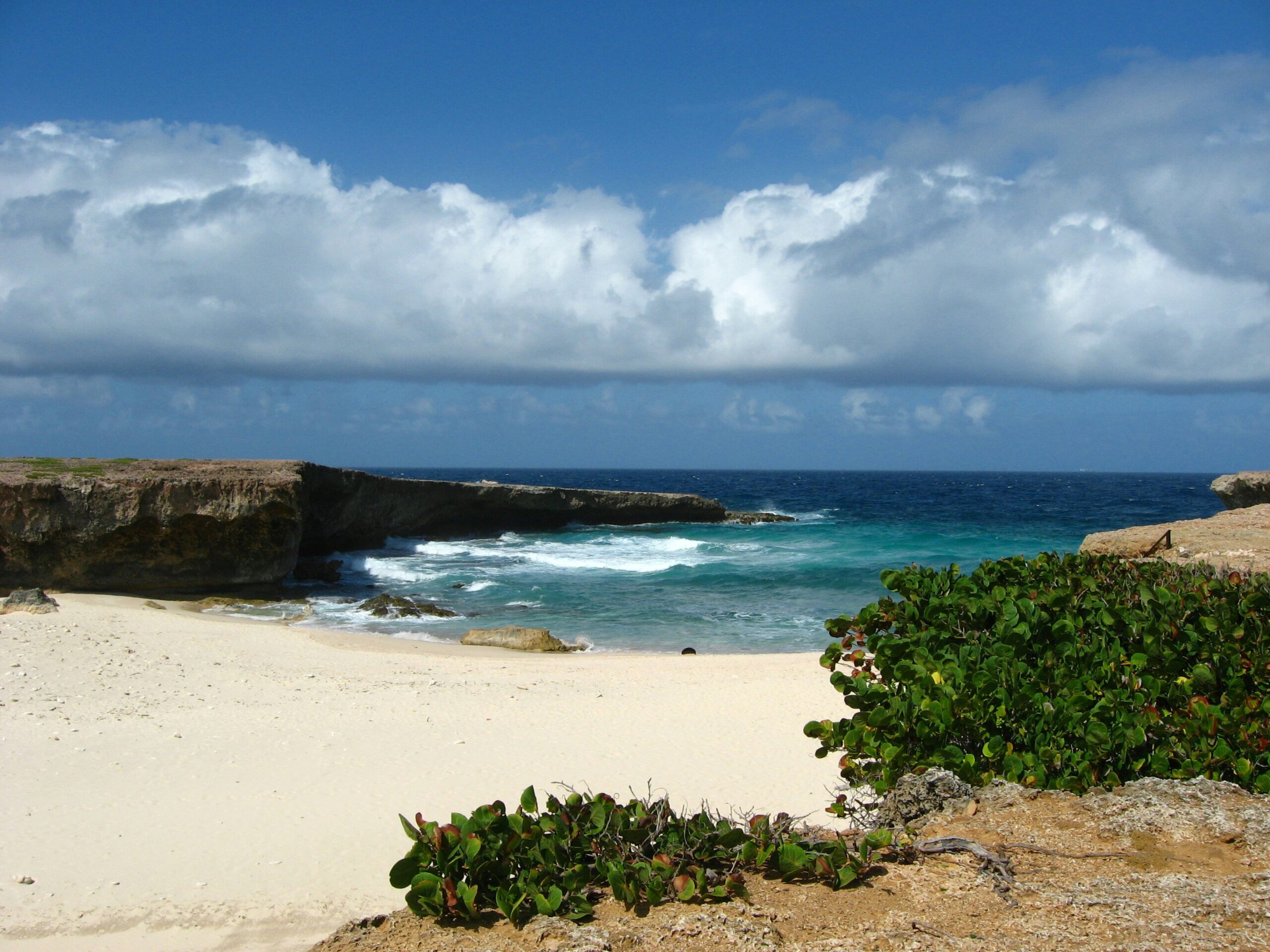 The best time to visit Aruba is during May. 
pictured: Aruba 
