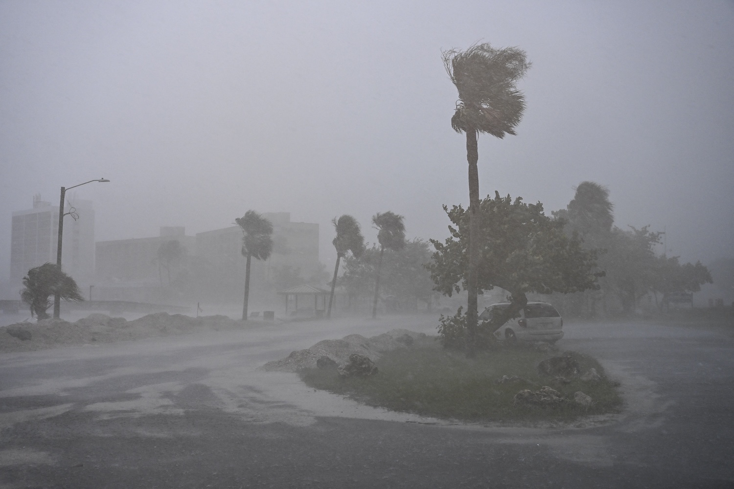 Heavy rain and strong winds batter a coastal area, bending palm trees and reducing visibility, with partially flooded streets and debris scattered.