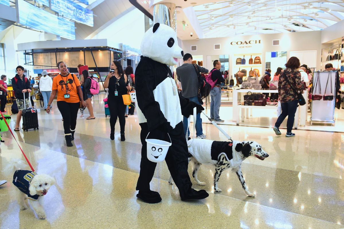 person wearing panda costume at the airport