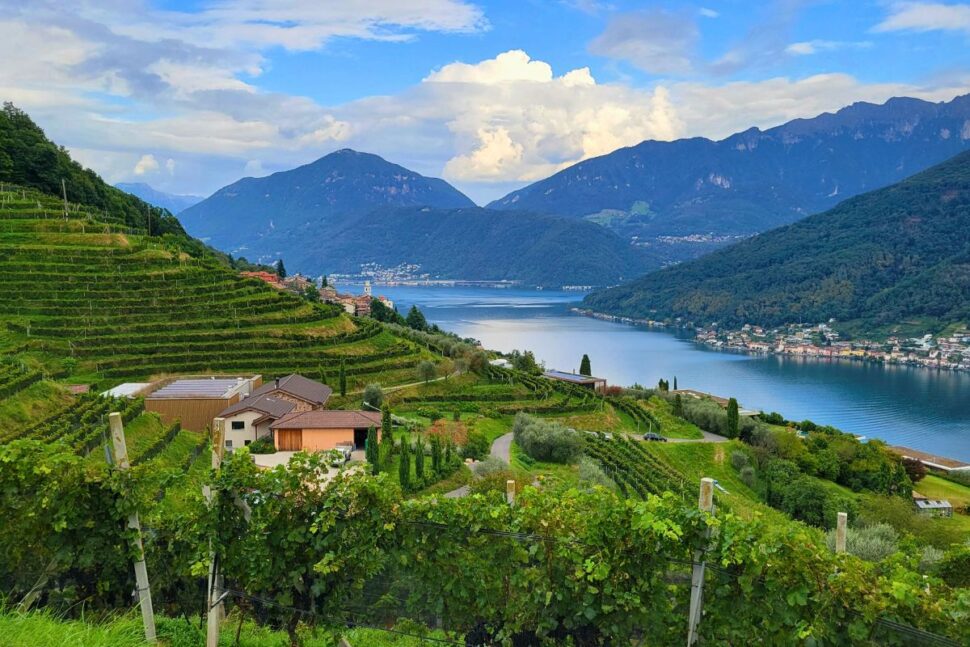 scenic view of winery overlooking Lake Lugano