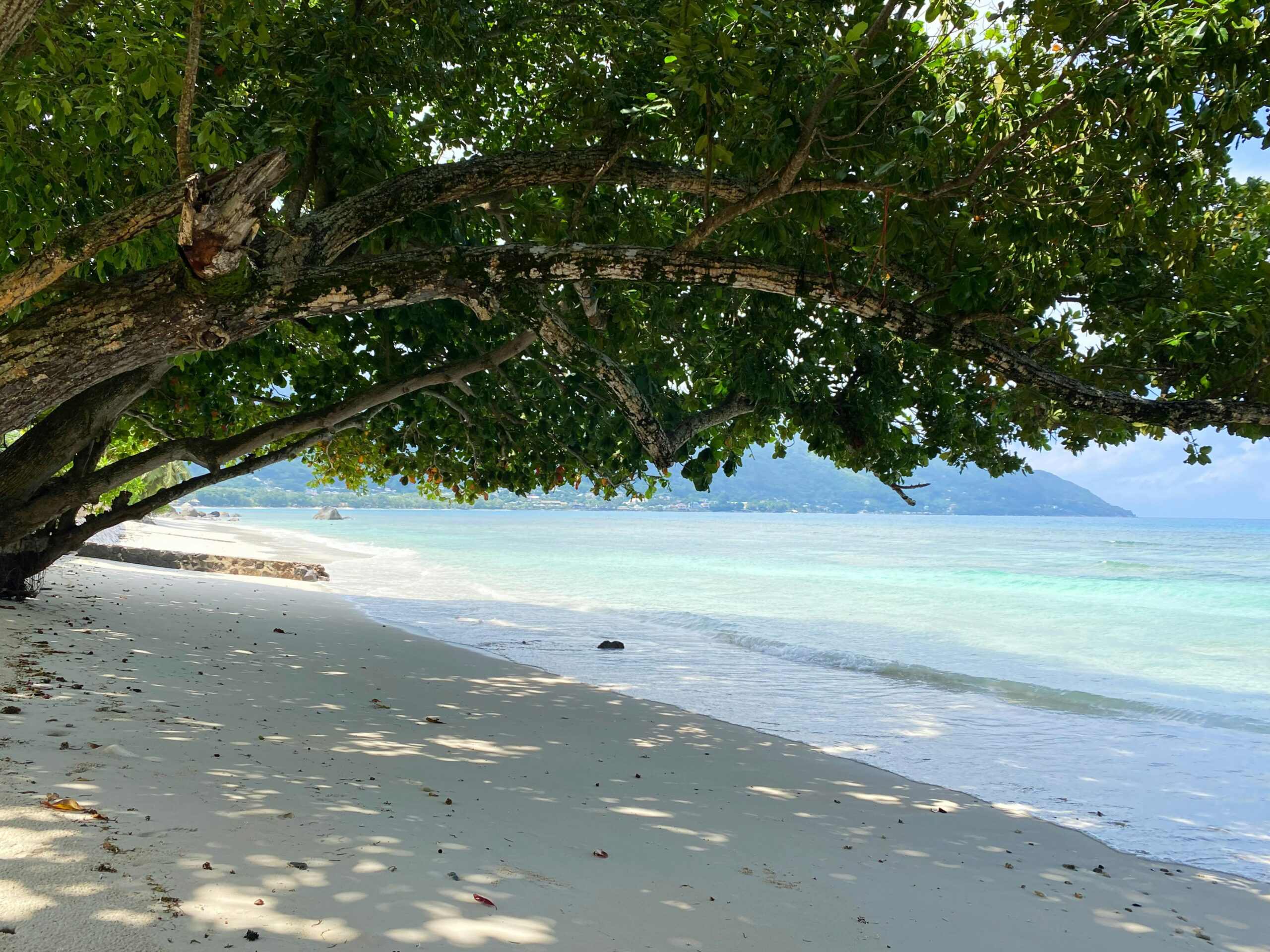 Beau Vallon Beach is a gorgeous and popular tourist destination in Seychelles. 