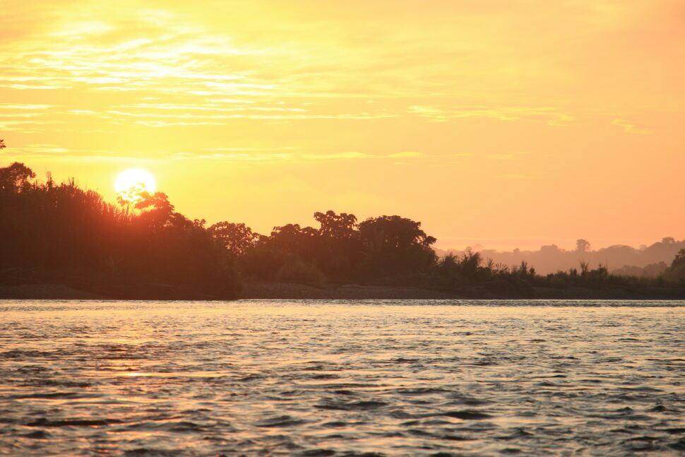 A sunlit river in the Amazon rainforest