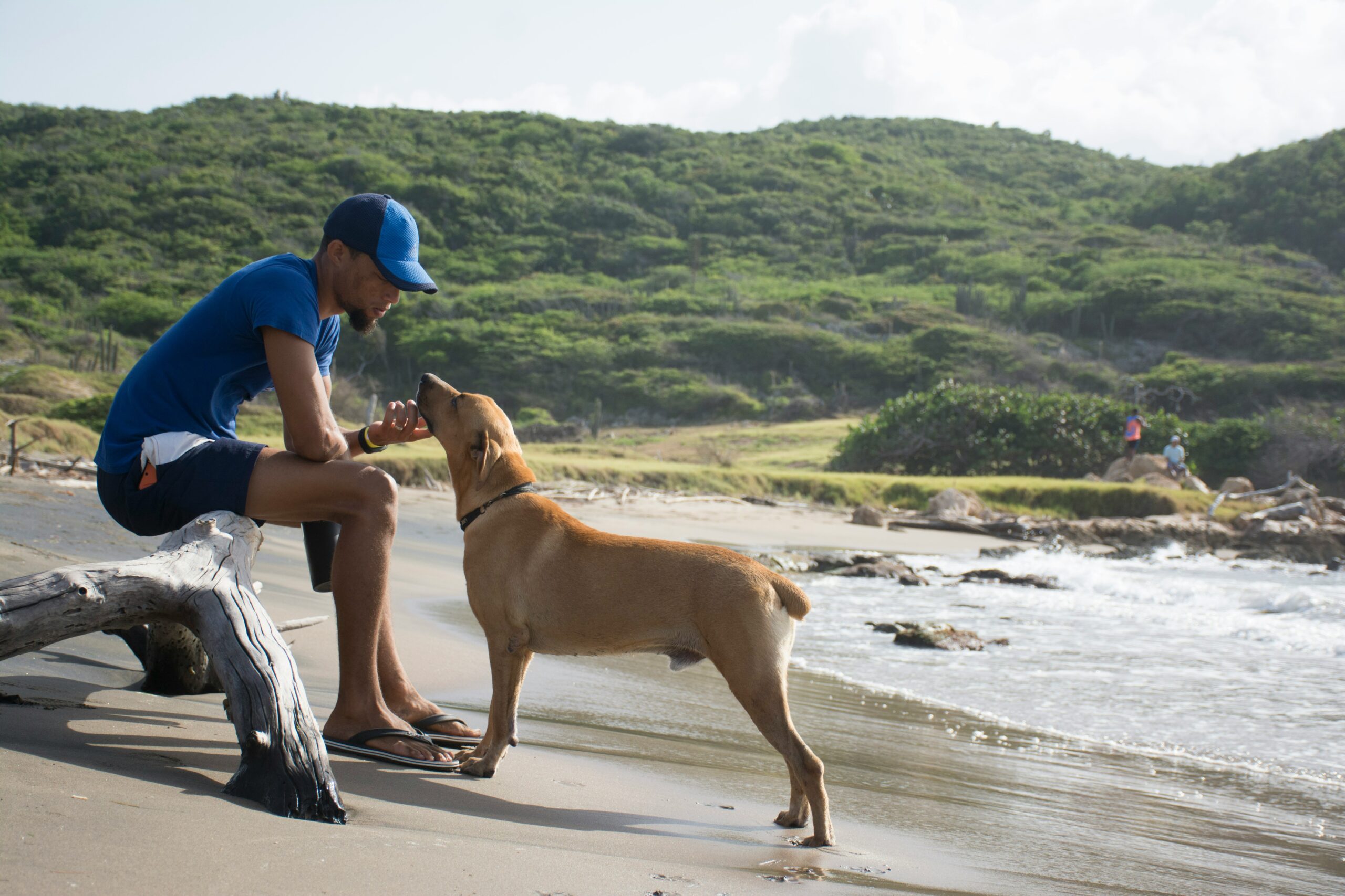 People can enjoy Jamaica’s outdoor spaces during a visit. 