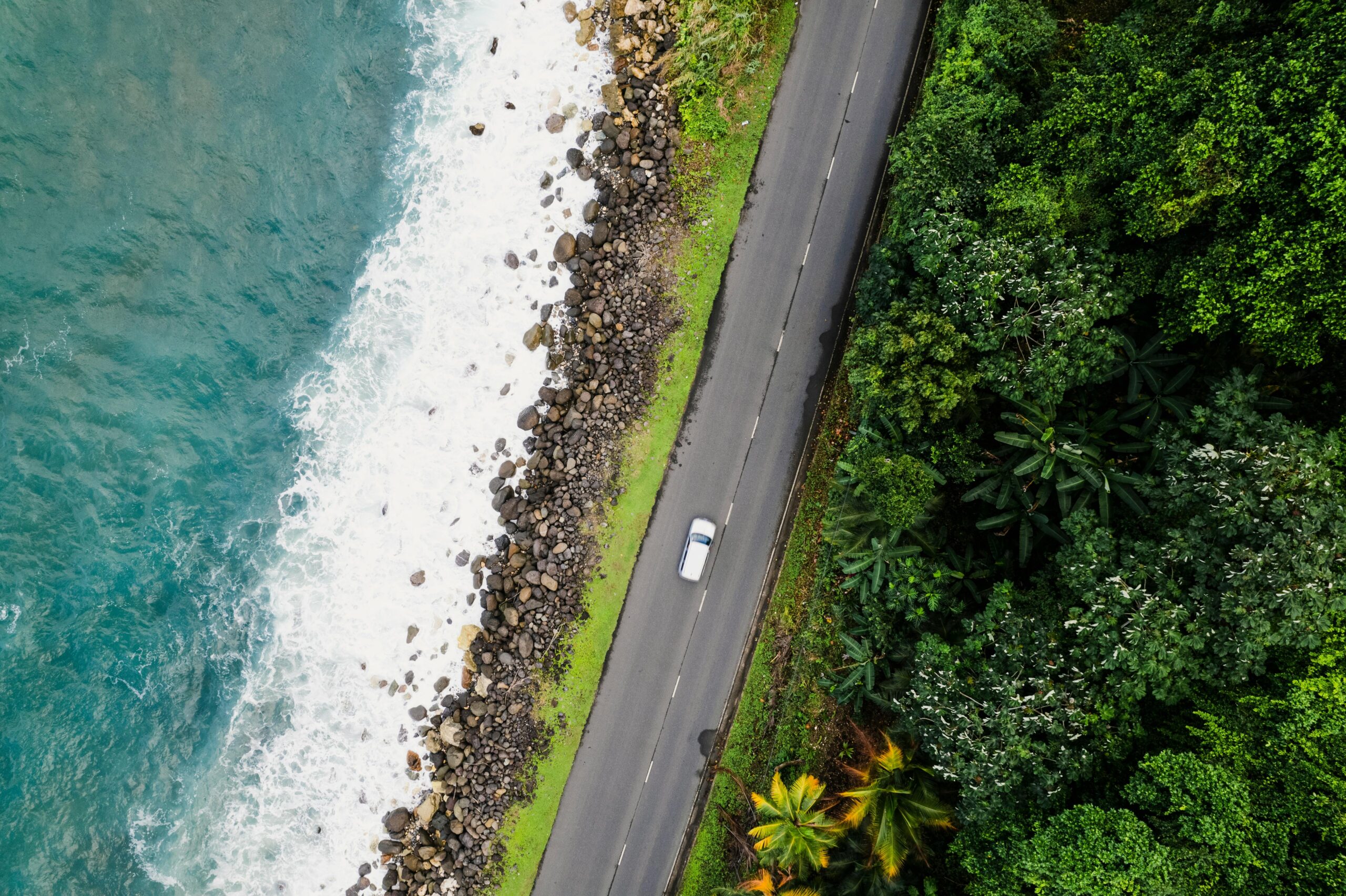 Kingston, Jamaica is a coastal place that is very popular. 