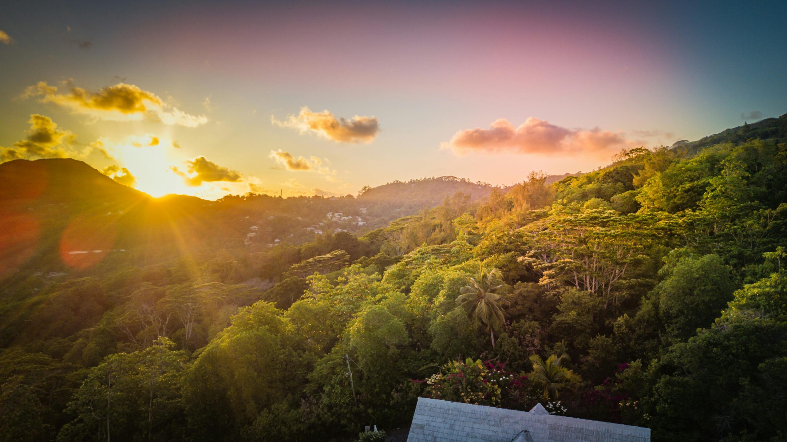 Views of Seychelles scenic natural areas and forest. 