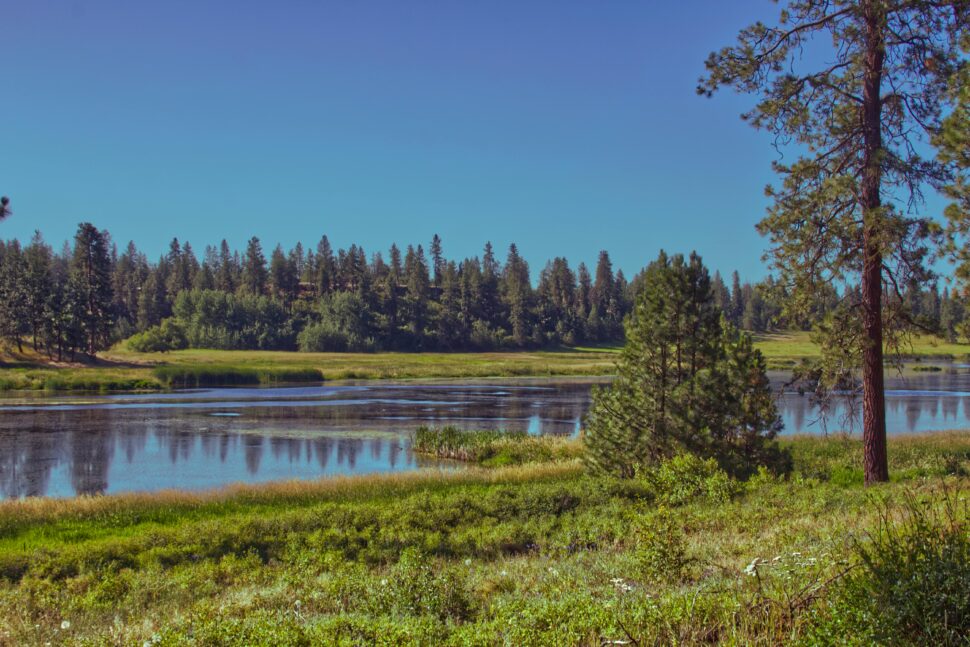 Spokane river view with greenery around