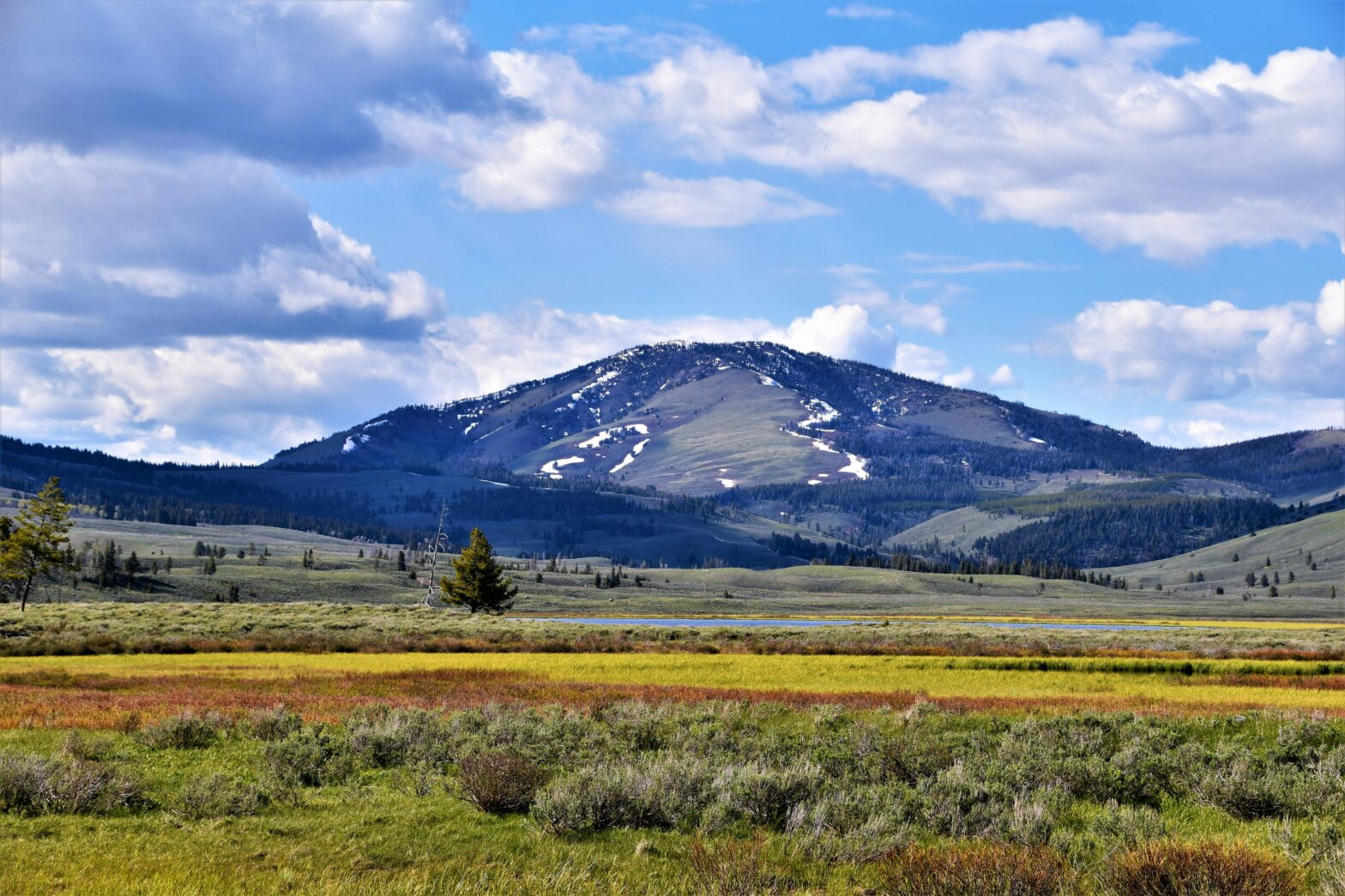 Did You Enjoy 'Christmas in Montana' Enough To Want To Visit the Location?