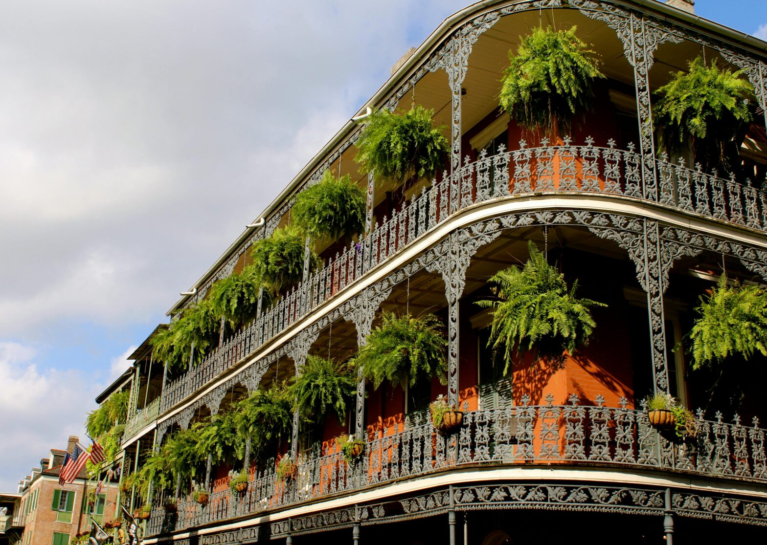 White High-rise Building With Green Leaves and Hanging Plants