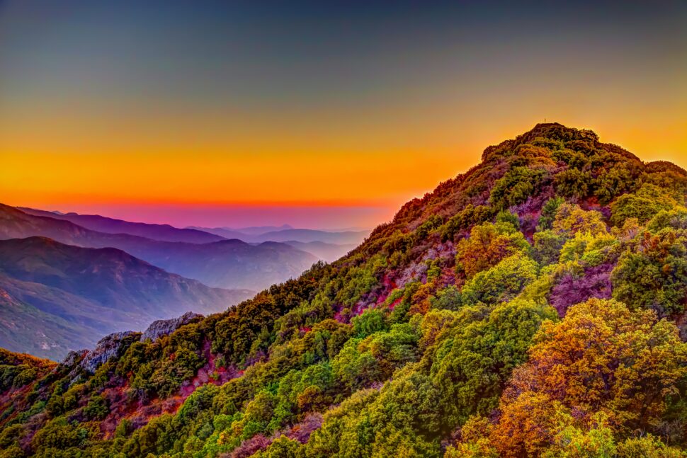 Sequoia National Park fall colors for photographers