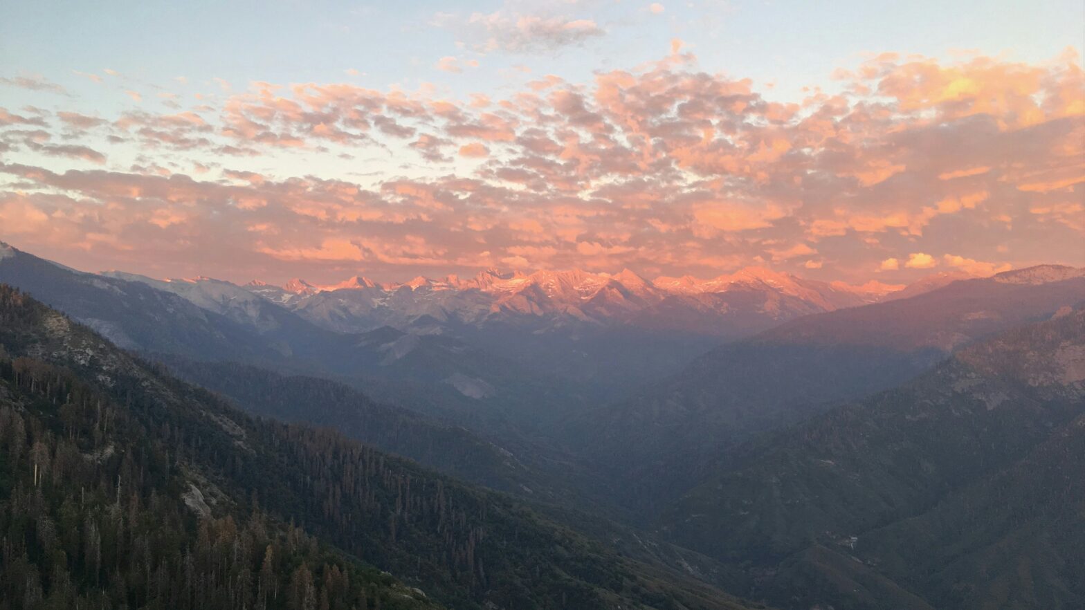 Sequoia National Park as a fall destination