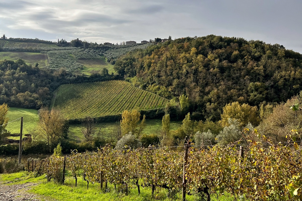 Why I Love Wine Therapy And The Best Places To Try It In Italy