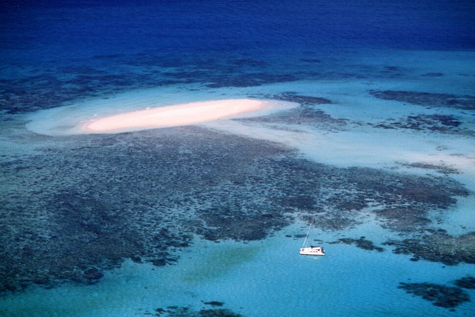 Graveyard of Coral pictured: Great Barrier Reef