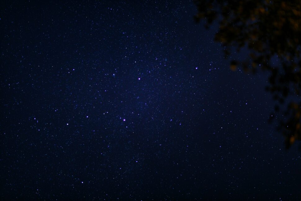 Starry sky in a national park makes for great stargazing 